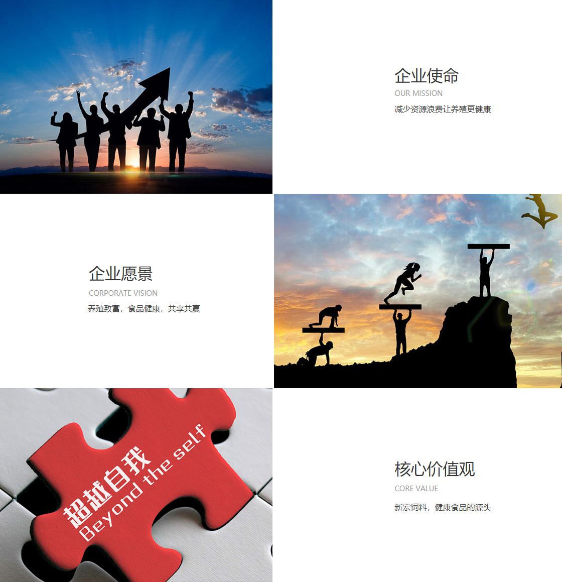 raybet网站(图1)